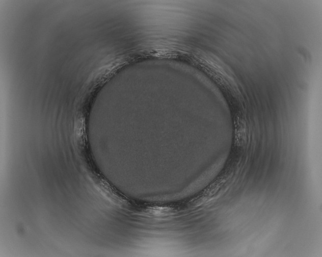 X0000111470748200907271311