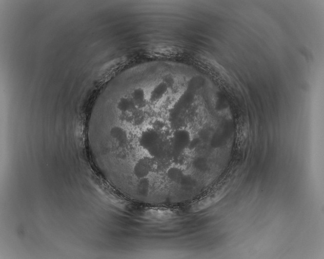 X0000111470749200907271311