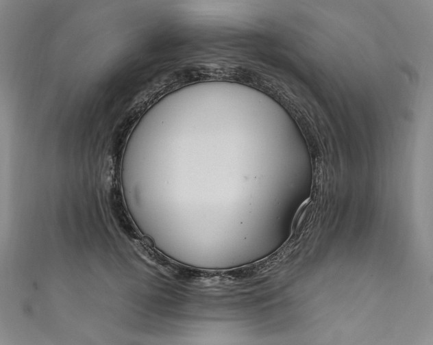 X0000111470752200907271311