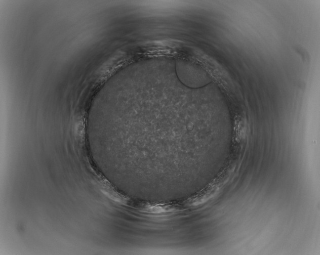 X0000111470753200907271311