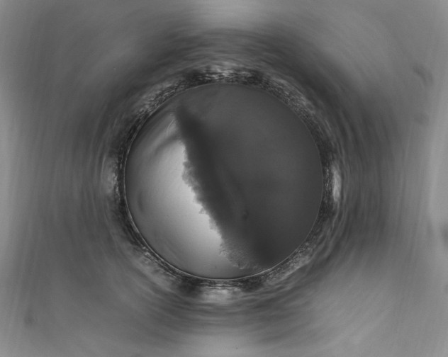 X0000111470754200907271311