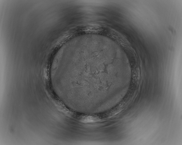 X0000111470755200907271311