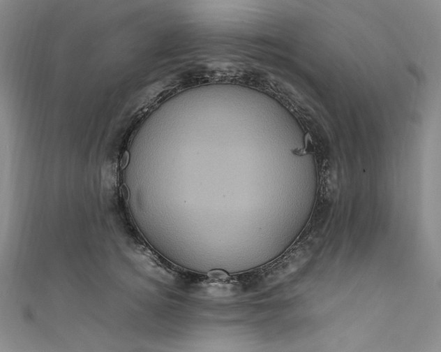 X0000111470756200907271311