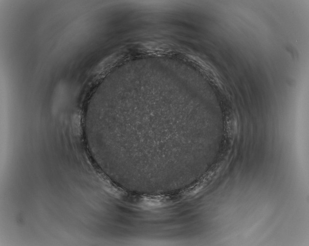 X0000111470757200907271311