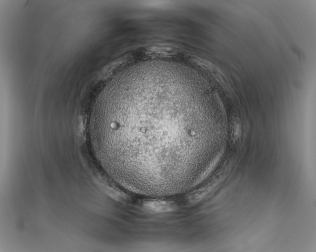 X0000111470759200907271311