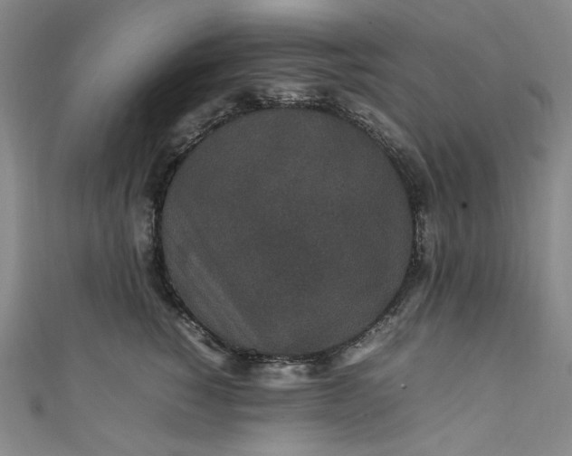 X0000111470760200907271311