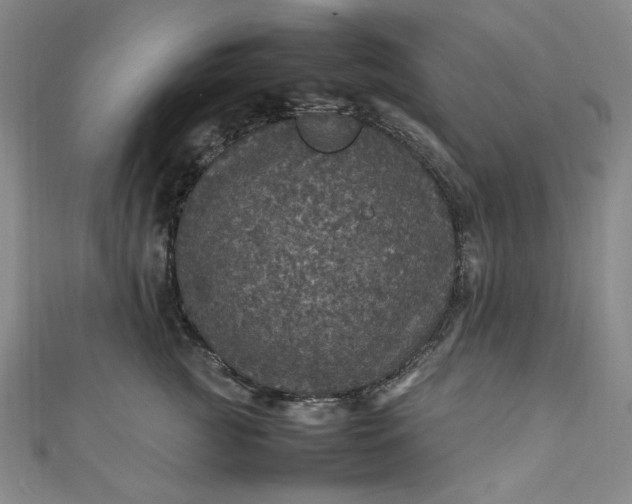 X0000111470761200907271311