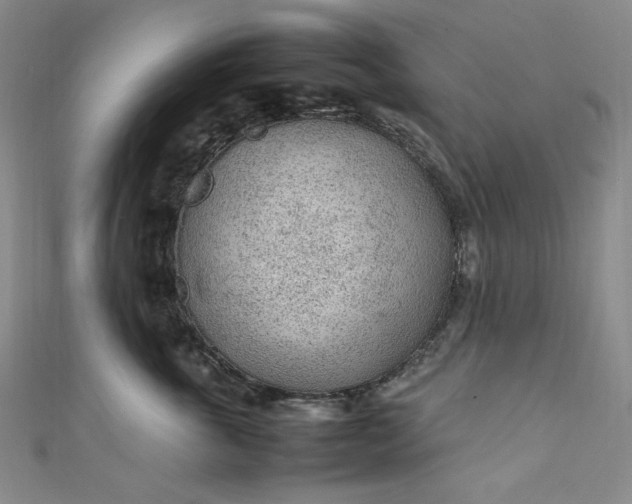 X0000111470763200907271311