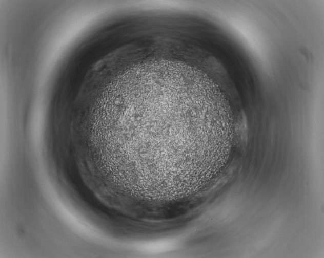 X0000111470765200907271311