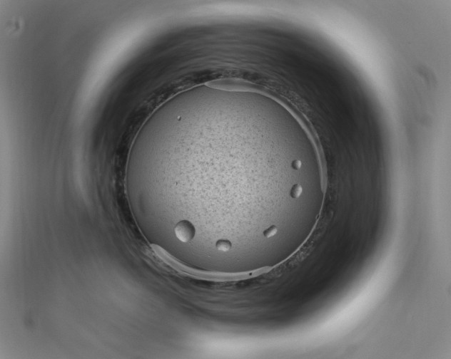 X0000111470766200907271311