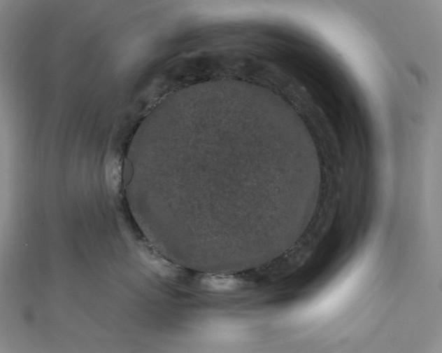 X0000111470767200907271311