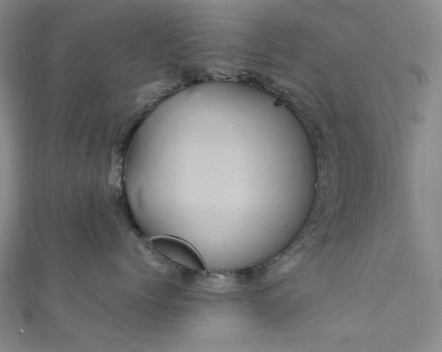 X0000111470768200907271311