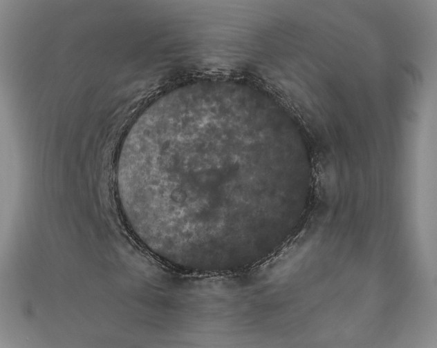 X0000111470769200907271311