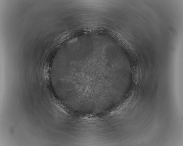 X0000111470770200907271311