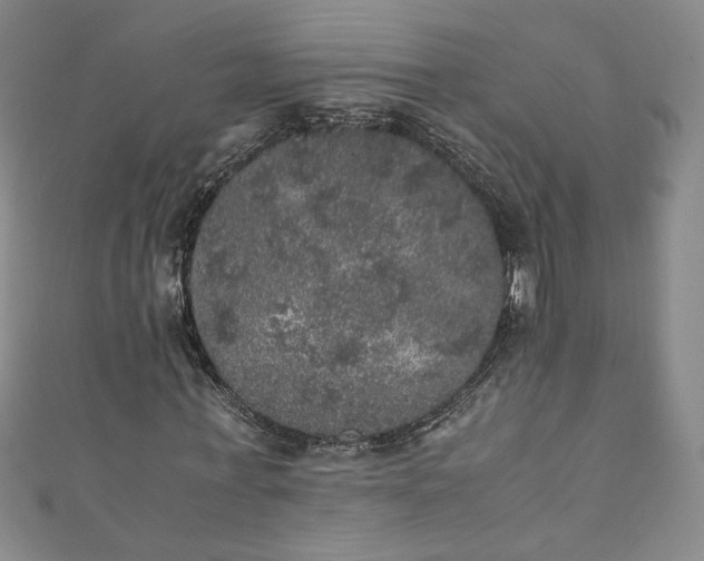 X0000111470771200907271311