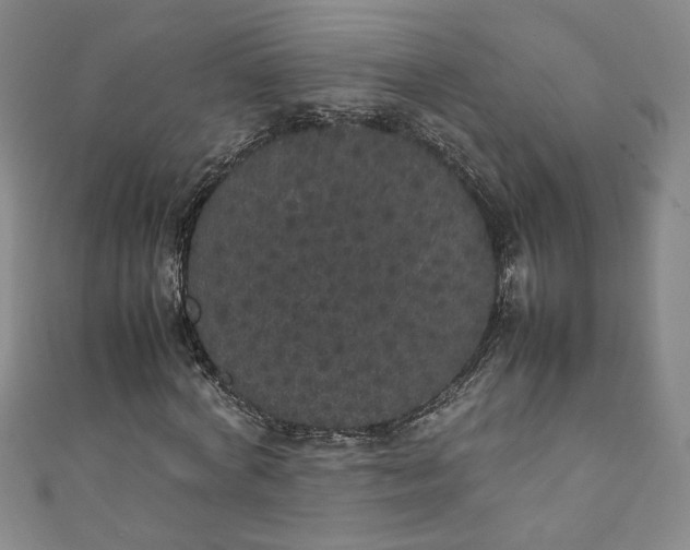 X0000111470772200907271311