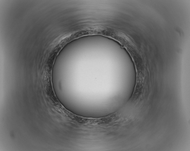 X0000111470773200907271311