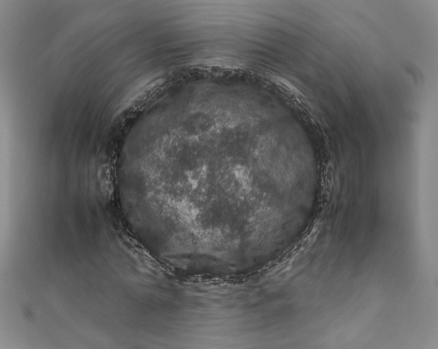 X0000111470774200907271311