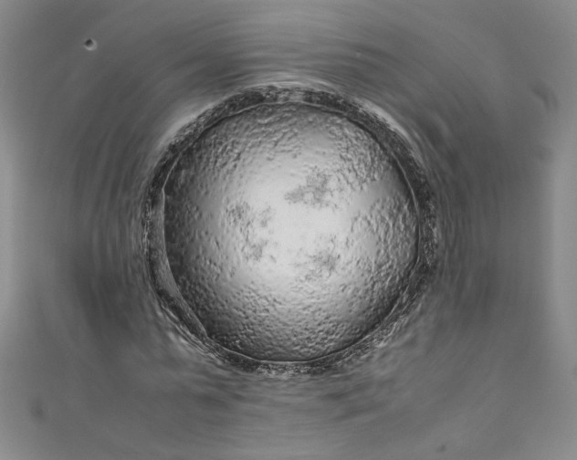 X0000111470775200907271311