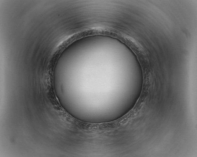 X0000111470776200907271311