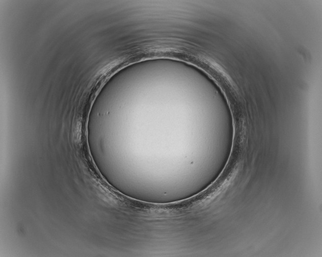 X0000111470777200907271311