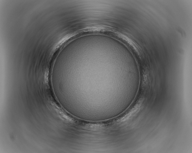 X0000111470778200907271311