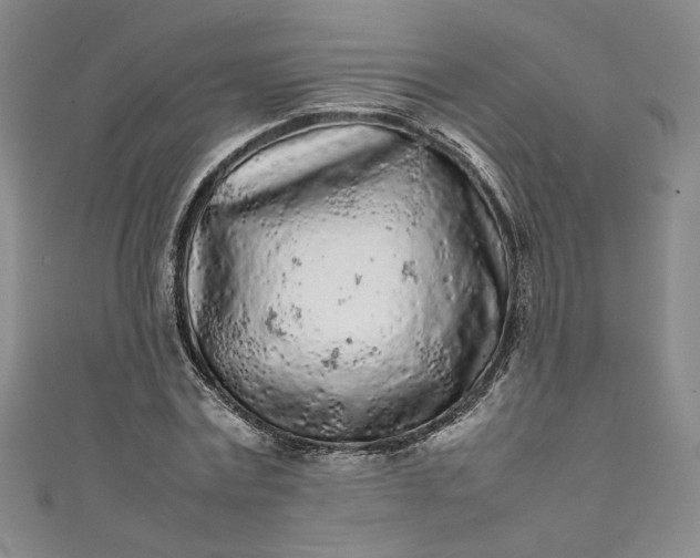 X0000111470779200907271311