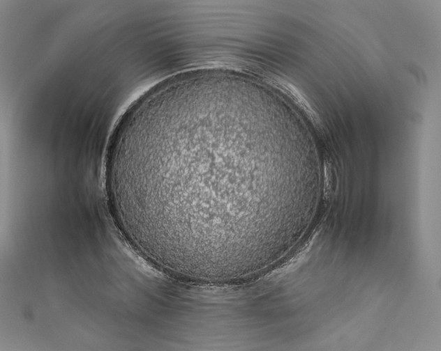 X0000111470780200907271310