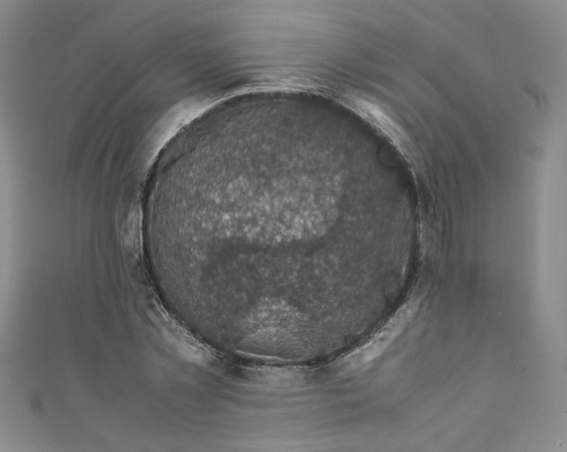 X0000111470781200907271310