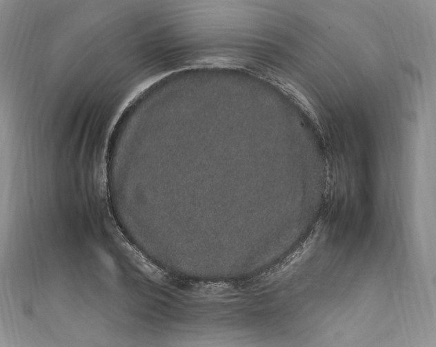 X0000111470784200907271310