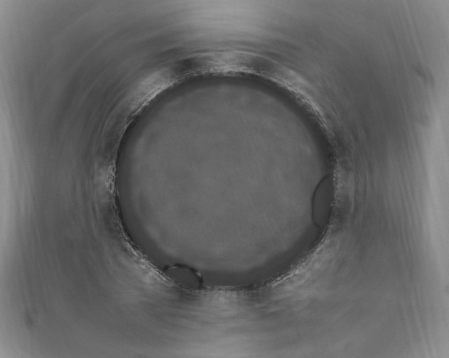 X0000111470785200907271310