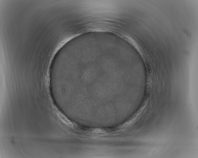 X0000111470787200907271310