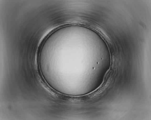 X0000111470788200907271310