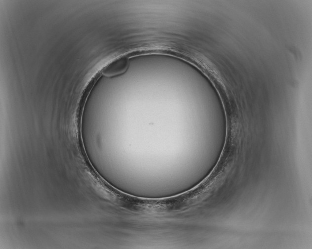 X0000111470789200907271310