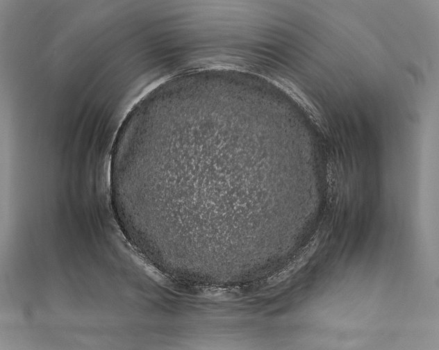 X0000111470790200907271310