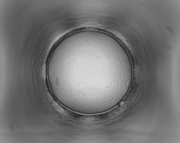 X0000111470791200907271310