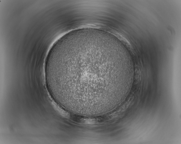 X0000111470792200907271310