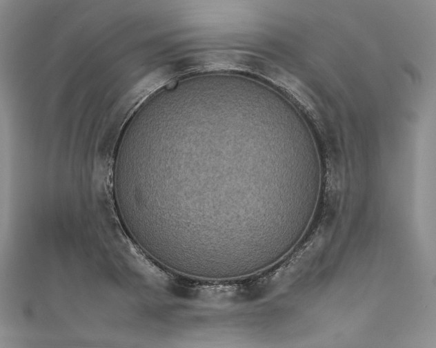 X0000111470793200907271310