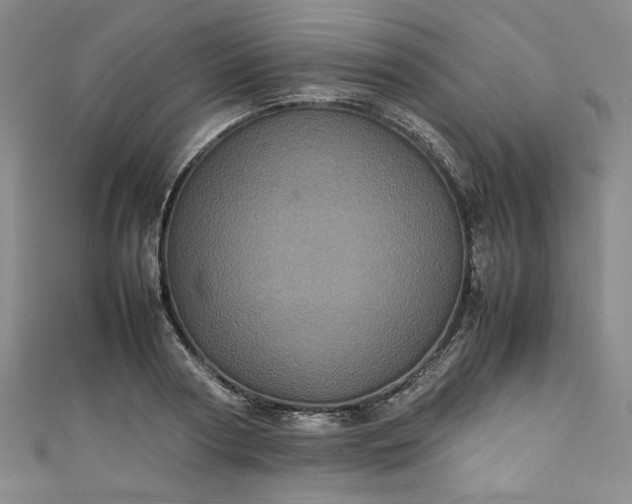 X0000111470794200907271310