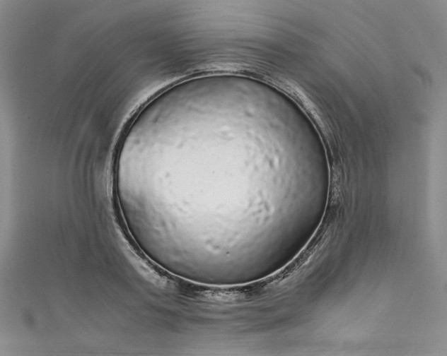 X0000111470795200907271310