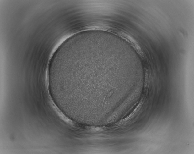 X0000111470796200907271310