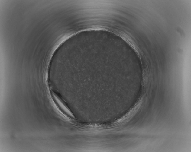 X0000111470797200907271310