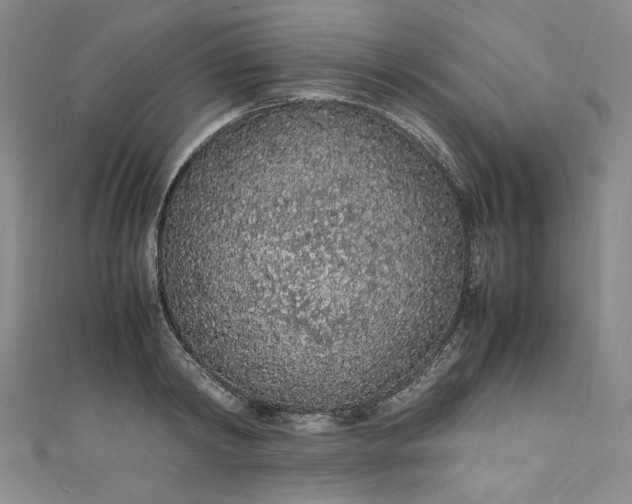 X0000111470798200907271310