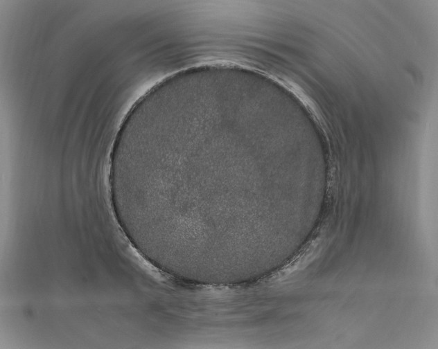 X0000111470799200907271310