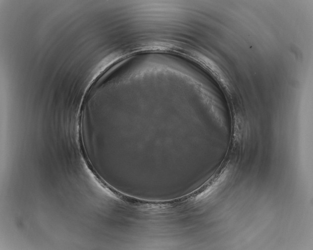 X0000111470802200907271310