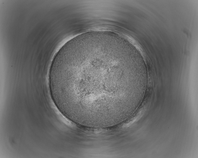 X0000111470803200907271310