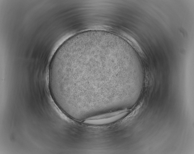 X0000111470804200907271310