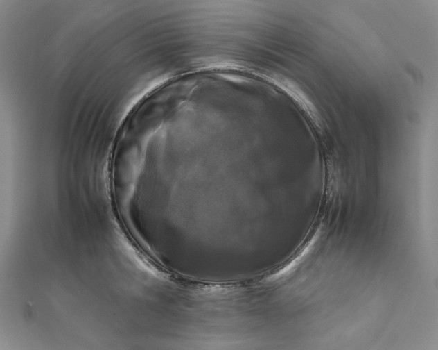 X0000111470806200907271310