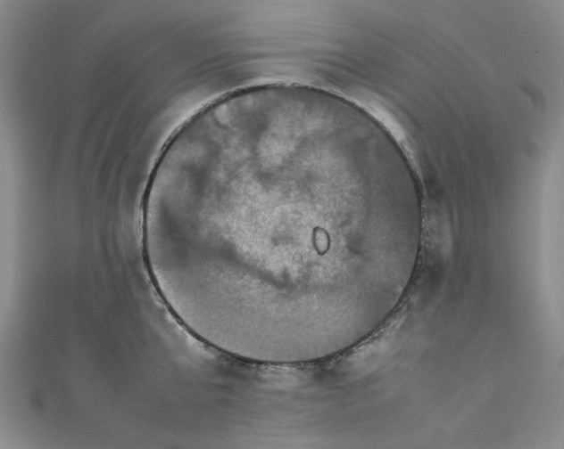 X0000111470807200907271310