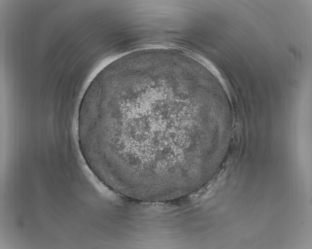 X0000111470811200907271310